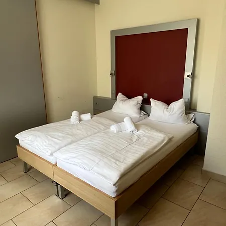فندق Pfaelzer Hof 3*